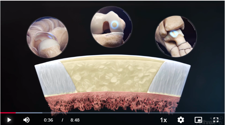 AAOS1 tweet picture