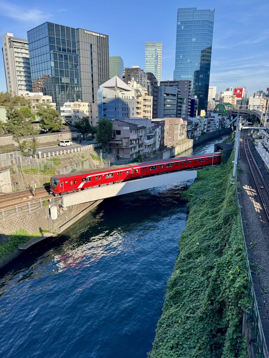 meruwan0115's tweet photo. 天気が良かったので電車を見に聖橋へ行ったら、リラックマが歩いてた🐻 https://t.co/8ciQ1Wwo9R