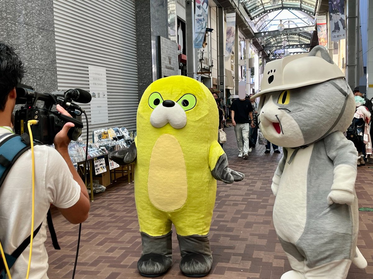 cerveza_porfa's tweet photo. 取材される(ニコ生？)ムジーナと猫さん
#マチアソビ https://t.co/QRs1hZujpY