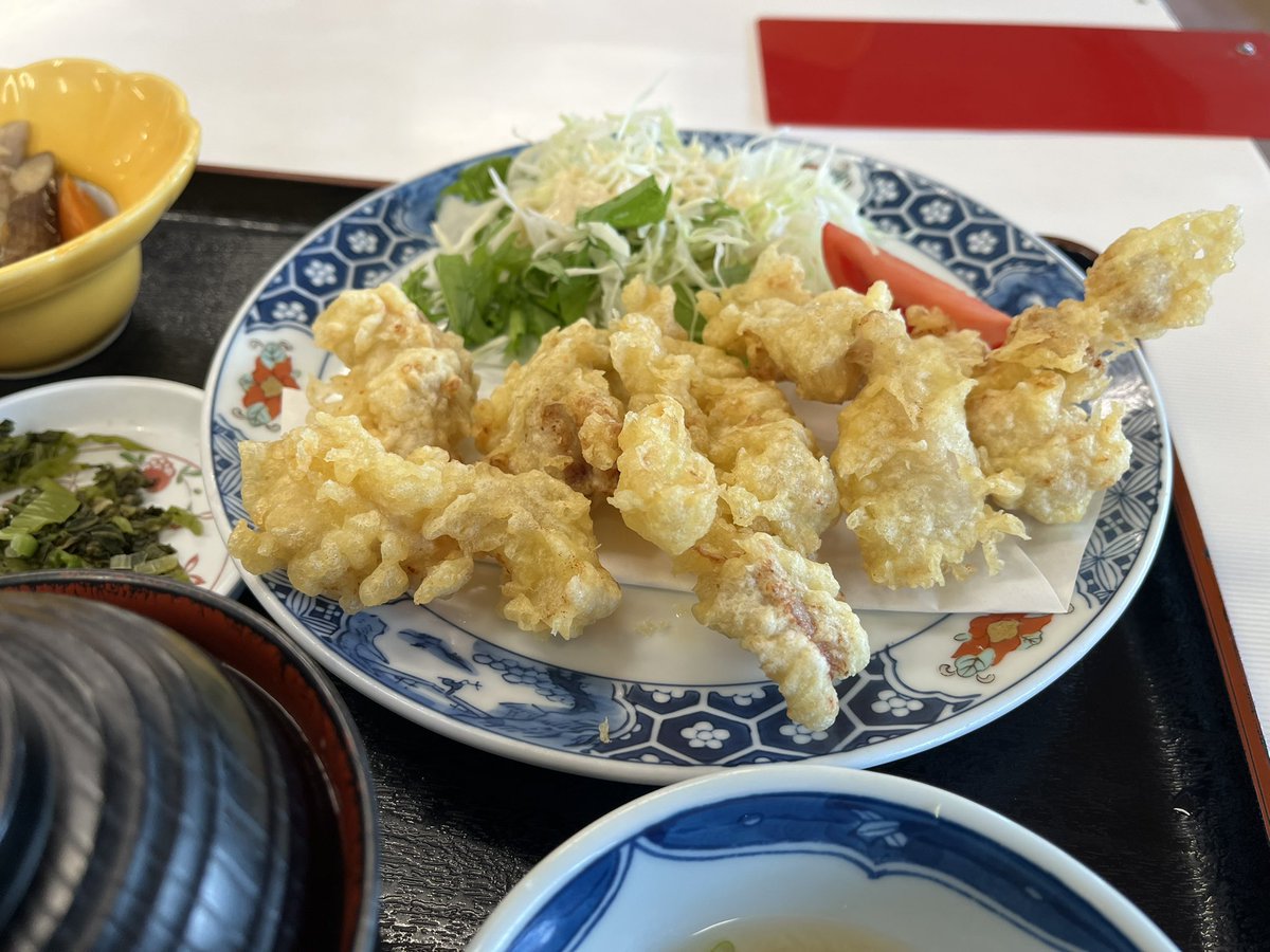 HIME_SAMA_ok's tweet photo. ローカルな景色と電車に揺られながら

大分県にきた

大分といえばとり天！なので早速いい感じの場所にていただくなどした

九州の旅は素敵なものだね https://t.co/GVS0Bzel9c