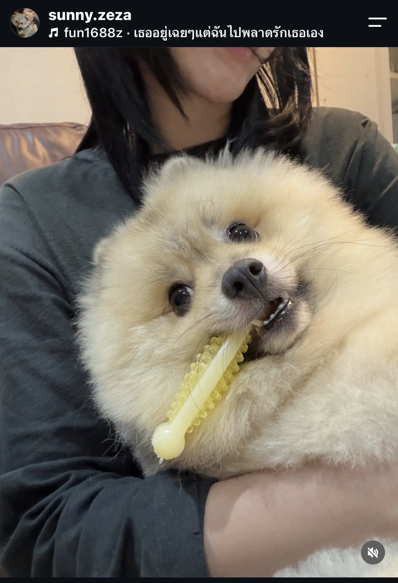 loveforFaye14's tweet photo. Little boy Sunny ig update 😅 with Faye 🤭🌻🤏 they are so cute ☺️ 

#FayePeraya https://t.co/X4gcMKHXIc
