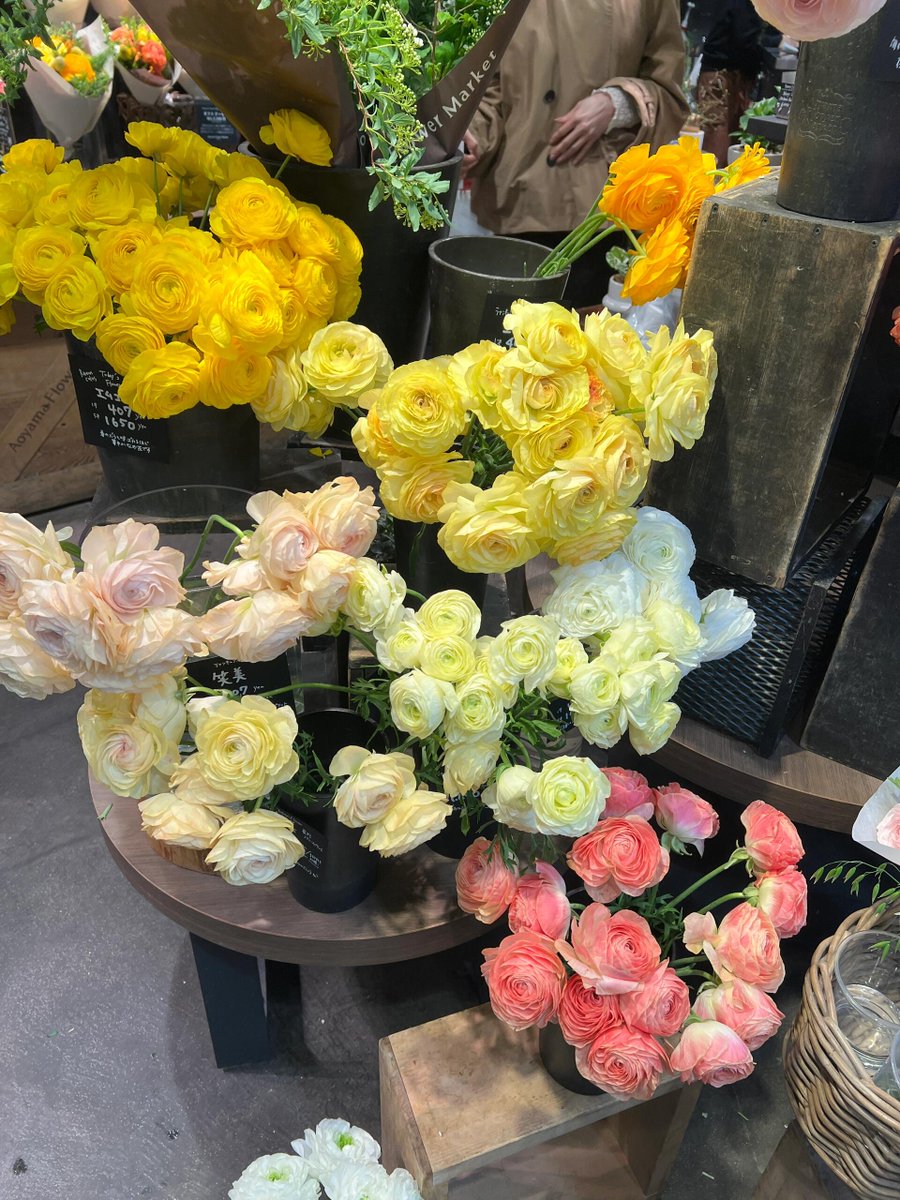 wobuhouhui45's tweet photo. こちらのお花は本当に素晴らしいです。
とても綺麗で、色の発色もすごく鮮やかなんです
スカビオサもとても綺麗に咲いていました💕 
ラナ���キュラスも本当に見事でした🥰 https://t.co/Np3kWBxoar