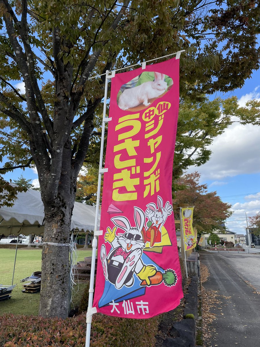 usako_haha's tweet photo. 秋田県大仙市「ジャンボうさぎフェスティバル」に来ています🐇🐇🐇 https://t.co/AAje3MKdEt