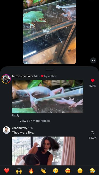 RSspeedrunSOL's tweet photo. 50M VIEWS AND 2.5M LIKES IN 24H???!??

A frog named Berry tried to steal a roach from another frog, failed, and literally started crashing out, attacking the other frog before ending up rolling down 

Everyone in the comments is memeing Berry

https://t.co/EXnR5ajZOX https://t.co/ehsdpASpYp