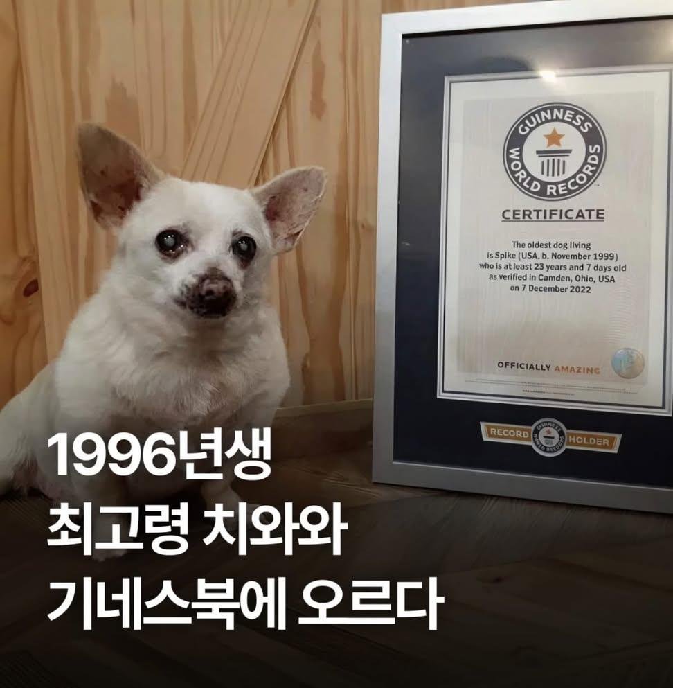 saeppbwe29919's tweet photo. 화가 나면 표현해야 하는 이유 https://t.co/AEx3RP9Cj5