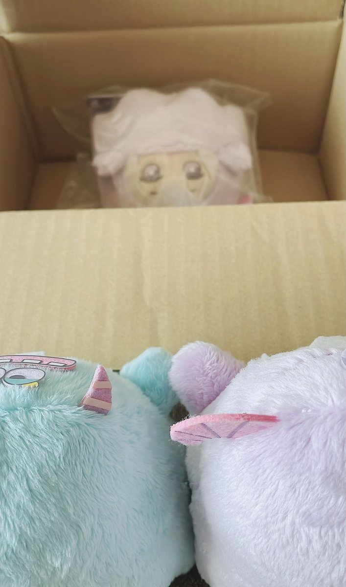Haku_teddy's tweet photo. どんな子がうちに来るのかなとわくわくしてたけど想像以上に可愛い子来た❣️❣️❣️

先住のモフソウより少し小柄で左に傾いてるけどきょとんとしてるみたいで可愛すぎる😭✨ようこそ我が家へ大事にするからね https://t.co/tNJd9IuQC1