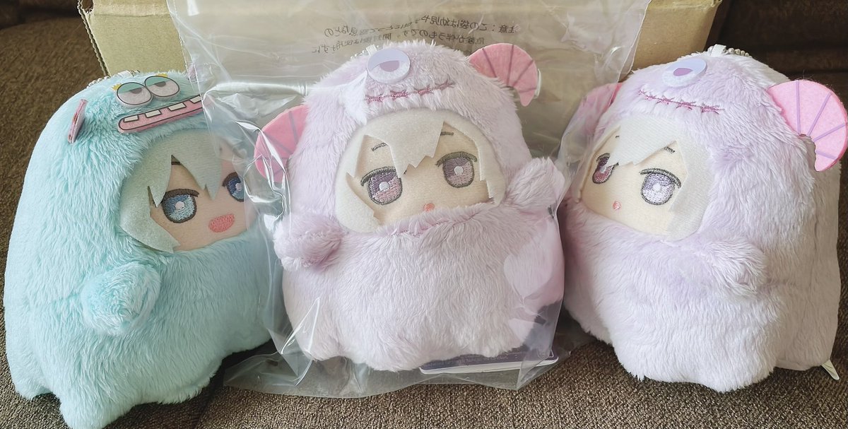 Haku_teddy's tweet photo. どんな子がうちに来るのかなとわくわくしてたけど想像以上に可愛い子来た❣️❣️❣️

先住のモフソウより少し小柄で左に傾いてるけどきょとんとしてるみたいで可愛すぎる😭✨ようこそ我が家へ大事にするからね https://t.co/tNJd9IuQC1