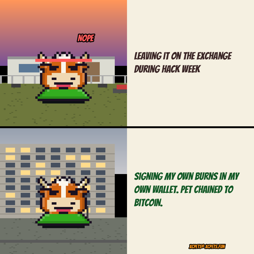 XCPets's tweet photo. Hack week on the exchanges? This little 8-bit pet says NOPE. π Burns get signed in your own wallet, and every pet stays chained to Bitcoin. Not your keys, not your pet. https://t.co/ZGietdCWKm #XCPets https://t.co/9FFekACs76