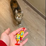 Photo by жанна, 26, 🇺🇦 (@tsivilna)