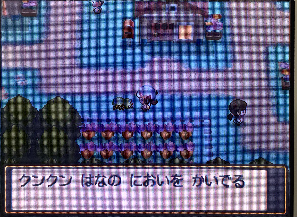 x75mo's tweet photo. イトマル…❕かわいい…🥹💓
実際のクモは苦手だけどこの子は平気❕ https://t.co/AUT3wXRlld
