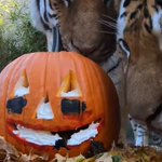 Photo by Oregon Zoo (@OregonZoo)