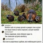 Photo by Молчание рыбят 🅴 (@mrlexy1)