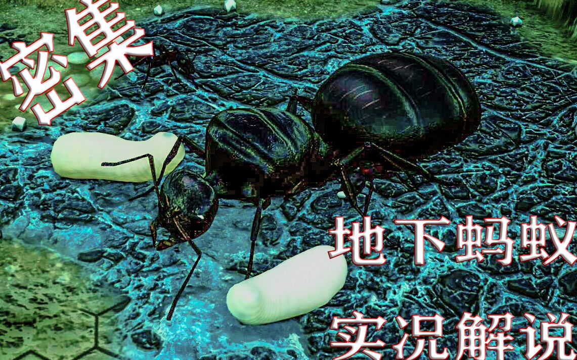 koozzzzy's tweet photo. [蚁地涣に関する話題、日常の小さな発見をシェアします！]， https://t.co/wfifk8dWOE