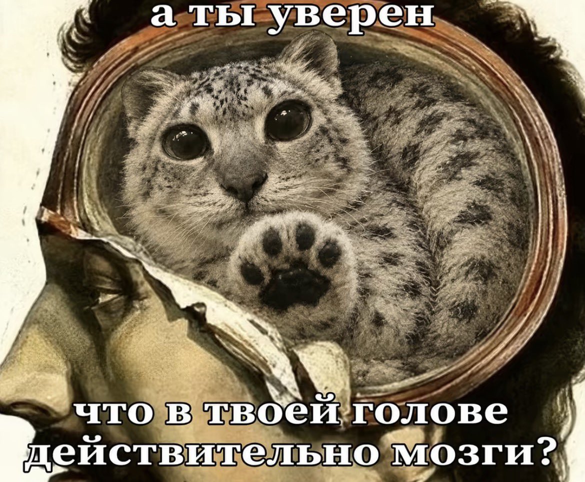 kyotuui's tweet photo. НУ ОН ТАКОЙ 🤏🏻🤏🏻🥺🥹🥹🥰 https://t.co/OK2f5PXbJp