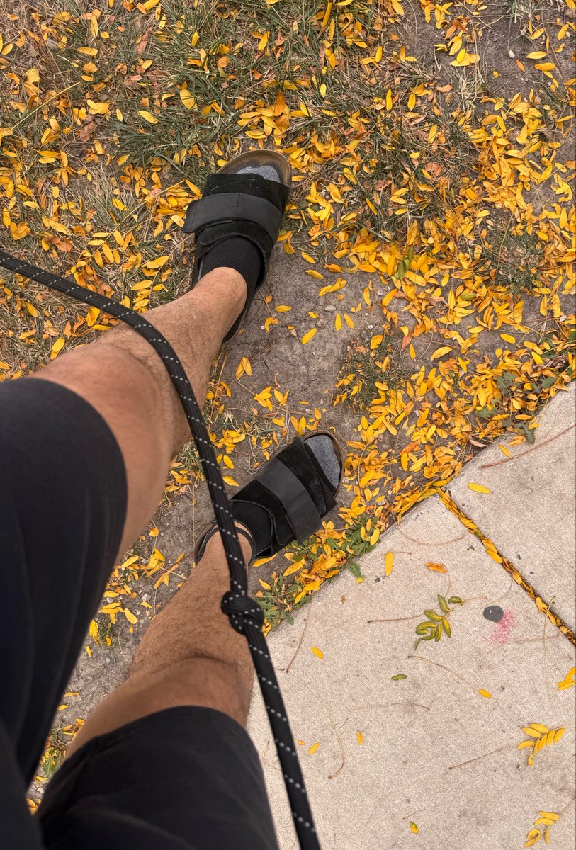 RamonFOOT's tweet photo. Autumn walks 🍂👣 https://t.co/0z0Qr6vxRz