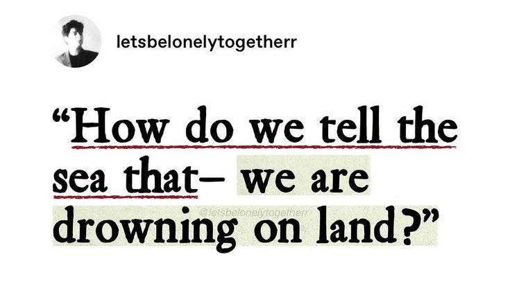 seainpoem's tweet photo. https://t.co/eDAPa5Kfin