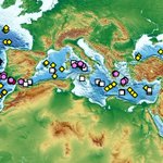 Photo by Steve Adams (@SteveAdamsSoil)