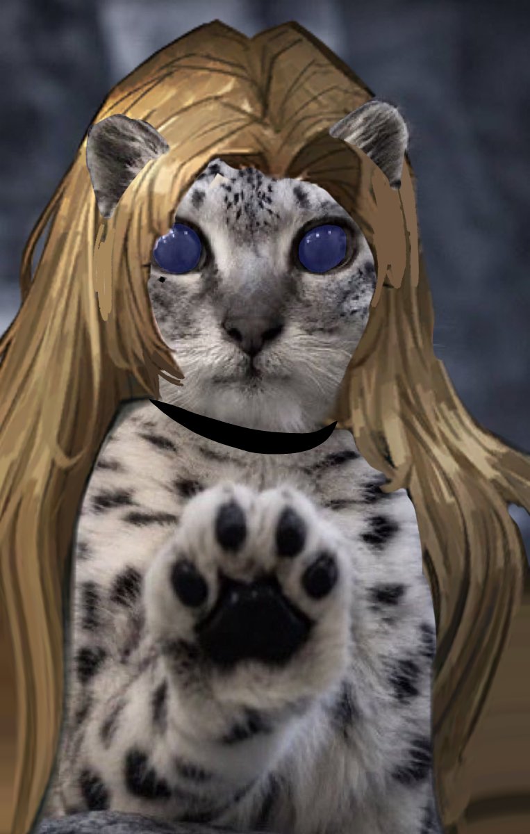 crimeandpunishe's tweet photo. *paws at you* Feed me!! ✨
*paws at you* Feed me!! ✨
*paws at you* Feed me!! ✨
*paws at you* Feed me!! ✨
*paws at you* Feed me!! ✨
*paws at you* Feed me!! ✨
*paws at you* Feed me!! ✨
*paws at you* Feed me!! ✨
*paws at you* Feed me!! ✨
*paws at you* Feed me!! ✨
*paws at y https://t.co/8iZMt1a3yT