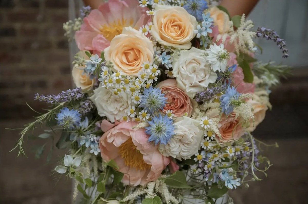 armyflowershop's tweet photo. 🩷🌼🌿✨️🩵🌸🌸🩵✨️🌿🌼🩷
             𝐹𝓁𝑜𝓌𝑒𝓇 𝒟𝑒𝓁𝒾𝓋𝑒𝓇𝓎

𝐹𝑜𝓇: @gcfscalico

𝐹𝓇𝑜𝓂: @sheridipity

𝑀𝑒𝓈𝓈𝒶𝑔𝑒: To my euphoria, i love u and i’m proud of everything you do💜 oomfchella is waiting for us <3

🩷🌼🌿✨️🩵🌸🌸🩵✨️🌿🌼🩷 https://t.co/k5jsoGlx1Y