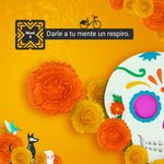 Photo by ECOBICI CDMX (@ecobici)