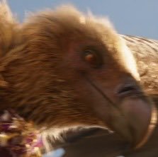 VKx76's tweet photo. Me after contributing nothing to the group project and still getting an A+ grade https://t.co/5W9jjBw4IQ