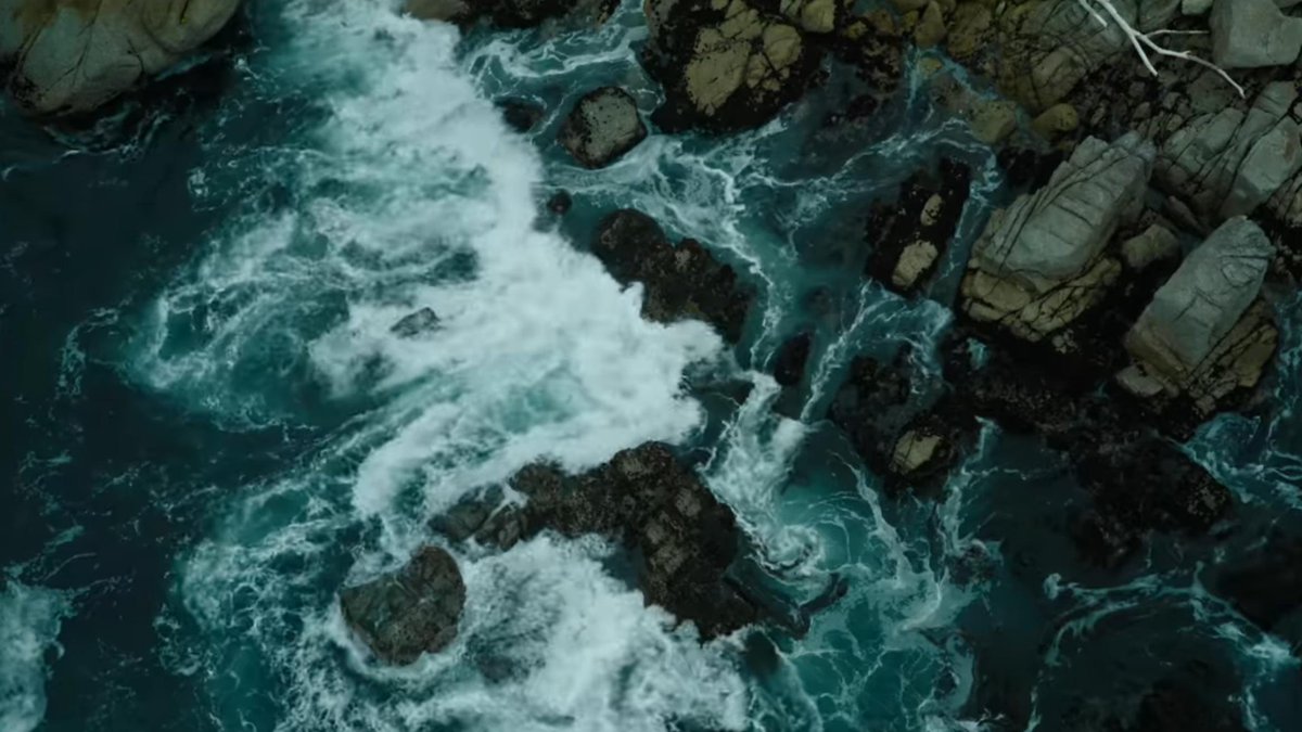graynickhmp's tweet photo. the cool blue tones and the way the ocean was captured in whalefall were so beautiful https://t.co/YdovYr6fkl