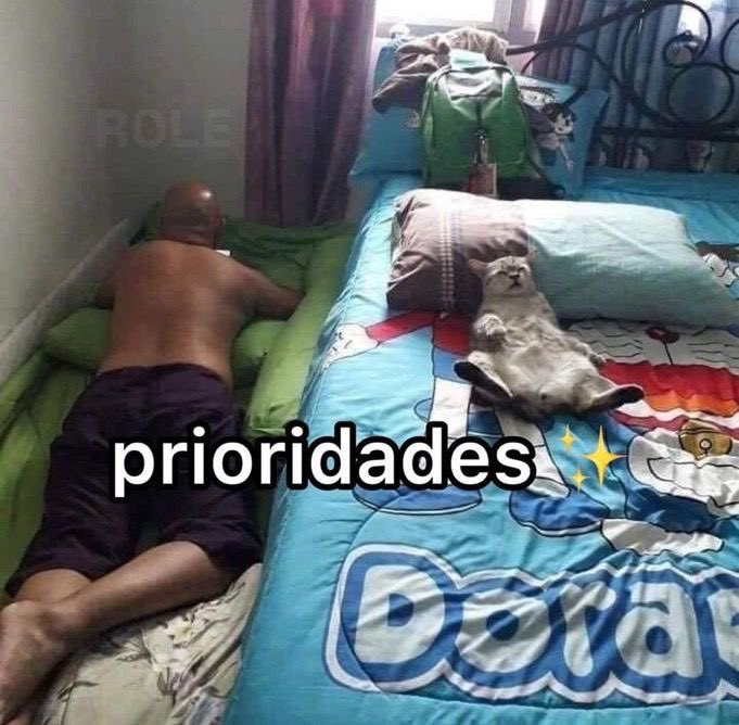 shitpostverdade's tweet photo. https://t.co/Zeuo6DgfQo