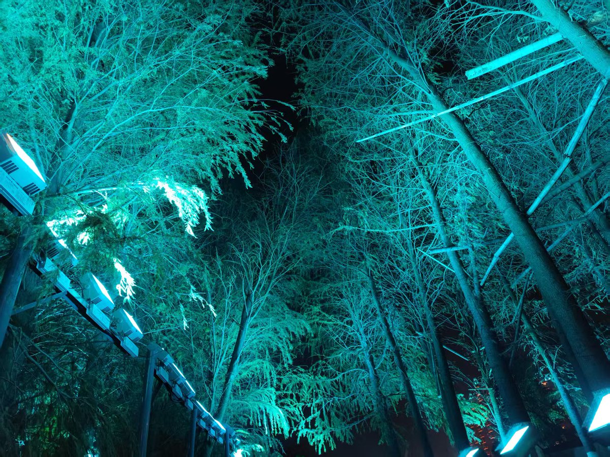 chiho0507's tweet photo. [森の暗がりに诱われ、気づけばその场に居た——まるで巧みに狙われたかのようだ] https://t.co/aAOEbGeYnw
