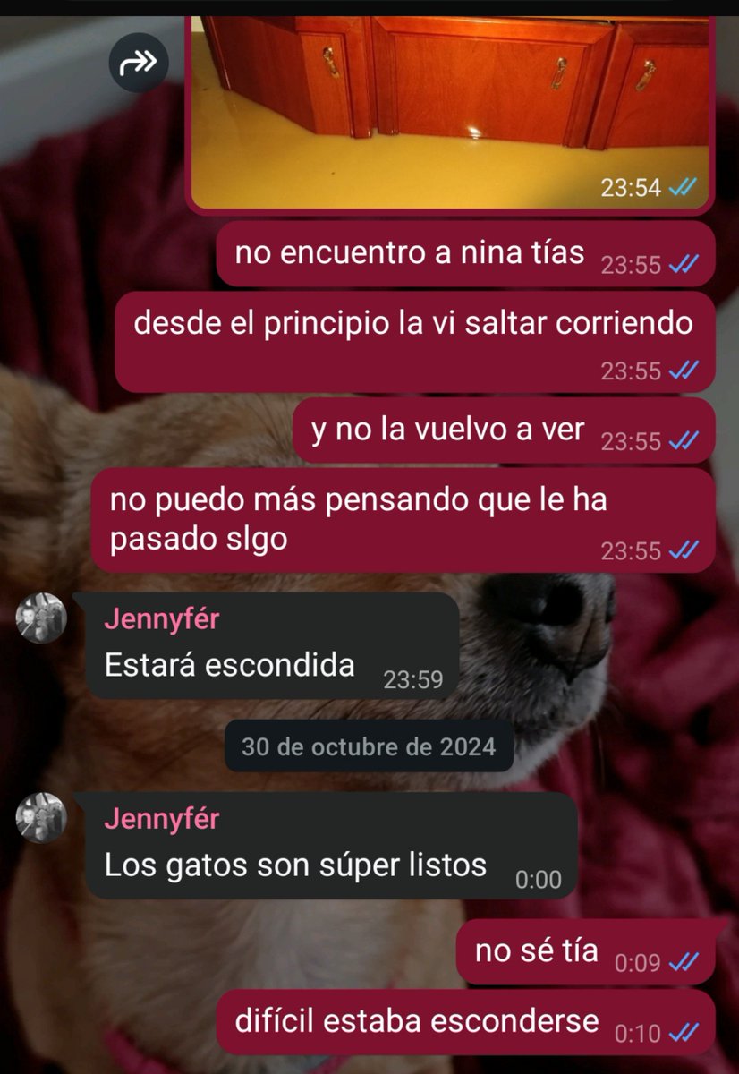 IsaMarch7's tweet photo. Ni oblit ni perdó https://t.co/nS3eCqfLIO