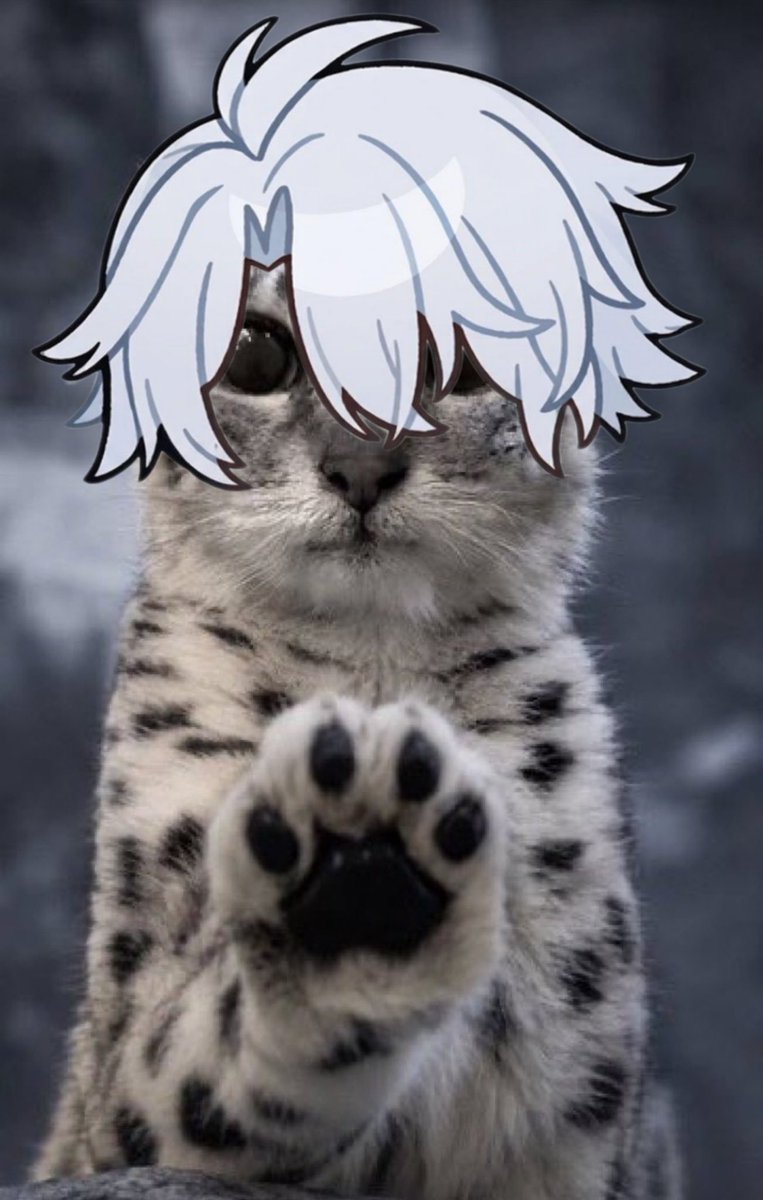 phaiteism's tweet photo. *paws at you* give me your coreflame
*paws at you* give me your coreflame
*paws at you* give me your coreflame
*paws at you* give me your coreflame
*paws at you* give me your coreflame https://t.co/ocot8moHCK