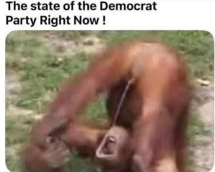 SaysJimbo121's tweet photo. @TheDemocrats https://t.co/oDK2bg4Ebz