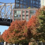 Photo by Roosevelt Island Operating Corporation (@RIOCny)
