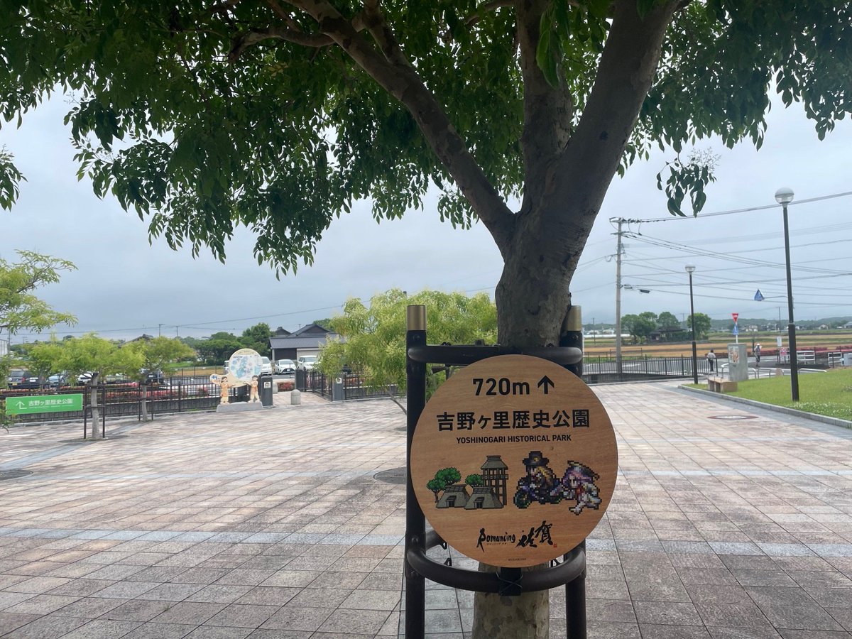 me9qhs's tweet photo. 「今日散歩で見つけた、珍しい植物？ 浊亚套遠くにポツンと立ってて、なんだか惹かれるんだ」 https://t.co/s1kyDewPuU
