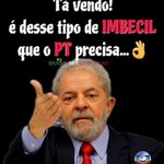 Photo by Leilão 2025 (@L202548875)