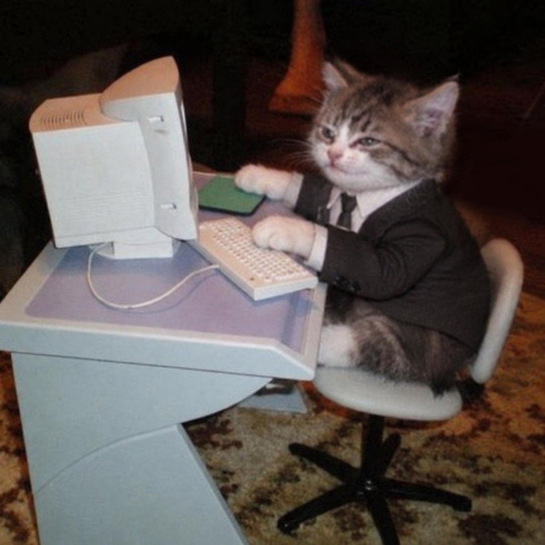 pumpcatpump's tweet photo. 9 lives. 1 career. https://t.co/z1mpbsVdUU