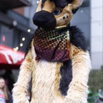 Photo by Ryker Shep 🐕🇬🇧 (@RykerShep)