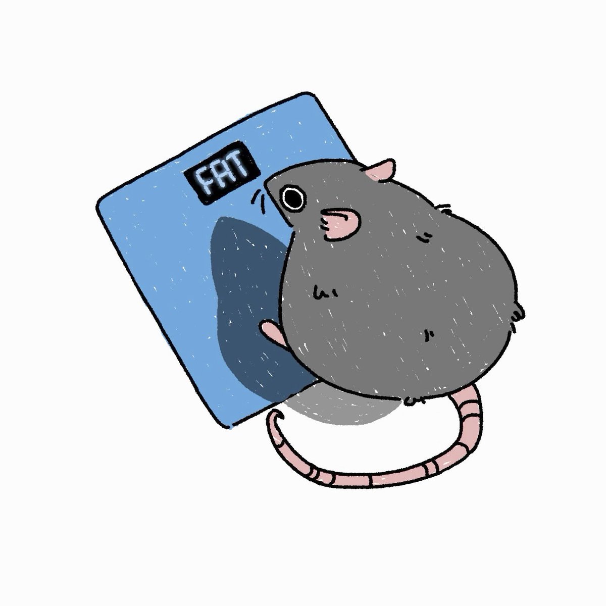 RatInControl's tweet photo. FAT RAT https://t.co/AgcPBos1IV