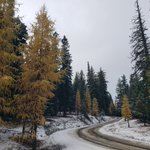 Photo by Crypto🌲TiMb3R (@CryptoTiMb3R)