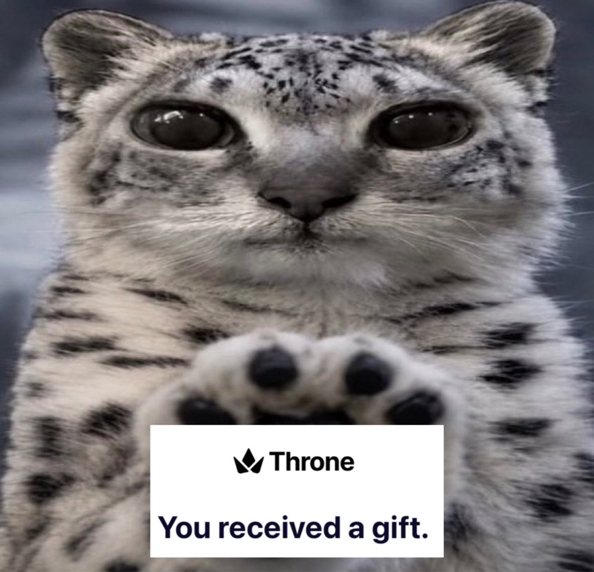 pandorasbank's tweet photo. *paws at you* send again 
*paws at you* send again 
*paws at you* send again 
*paws at you* send again 
*paws at you* send again 
*paws at you* send again 
*paws at you* send again 
*paws at you* send again https://t.co/lfKcwQgUuR