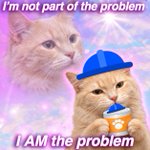Photo by swagasaurus (@CatFood4BasePpl)