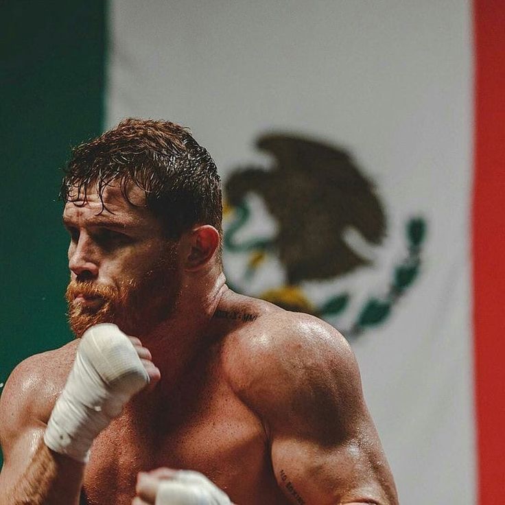 RootsOfCombat's tweet photo. Canelo 😈 https://t.co/jFWlBPHeT8