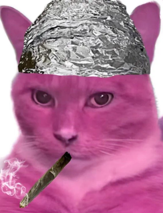 Image from Tin Hat Cat (@TinHat_Cat)