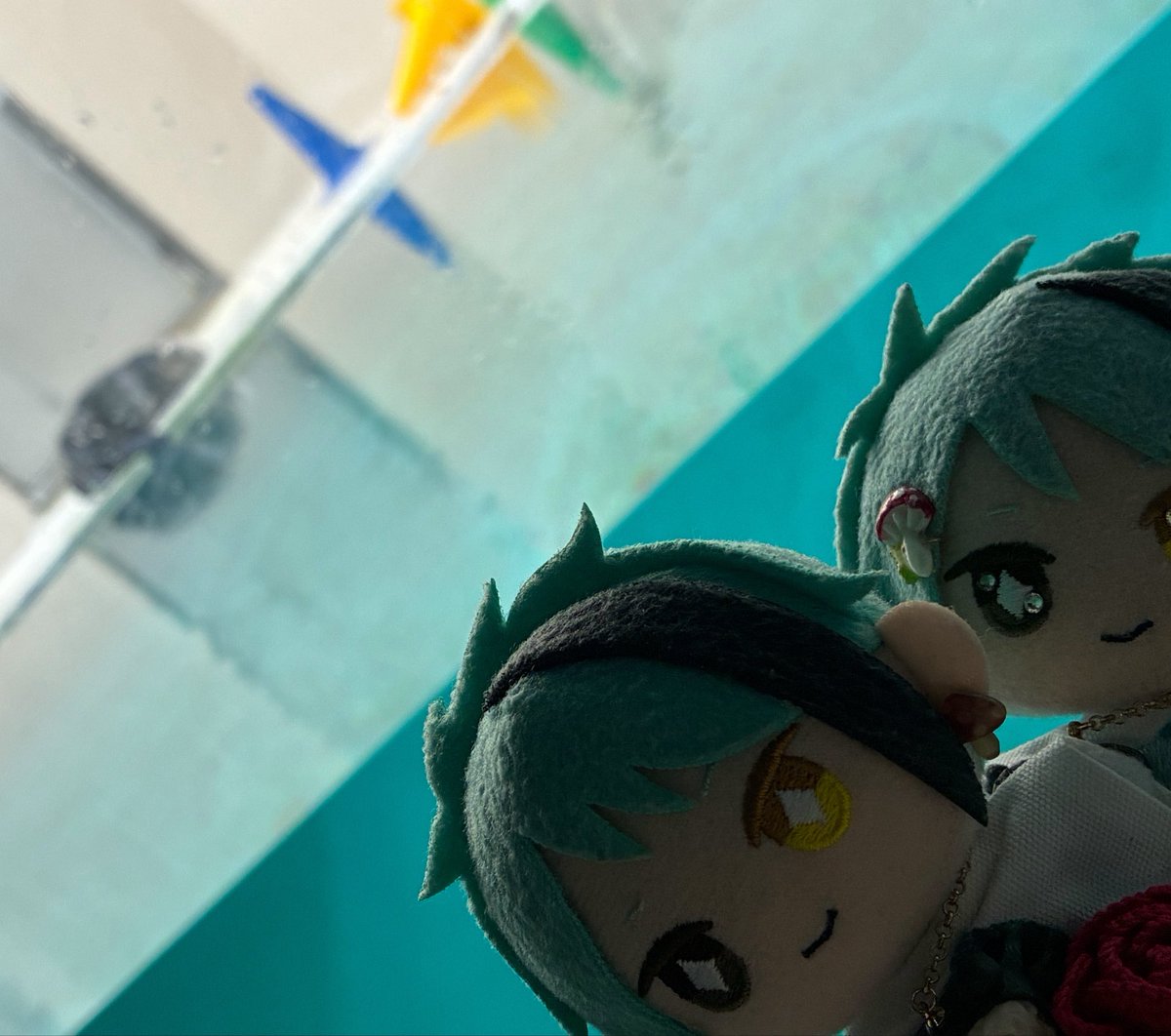 nuichi_11's tweet photo. 鳥羽水族館にラッコ🦦見に行ったついでに100名城・続100名城のスタンプ埋め〜
さらに御菓印も集めてマンホールカードも！（欲張ったからスケジュールキツキツで疲れた）

ラッコはずっと寝てたので…ね

名古屋からは新幹線だったので駅弁は天むす！美味しかった！ https://t.co/MklPKJVlgK