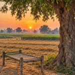 Photo by Baijnath Sen (@SenBaijnath)