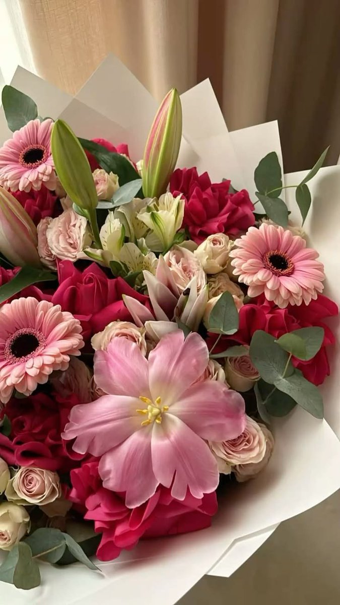 Liliestulipssss's tweet photo. https://t.co/3mJiE3xonA