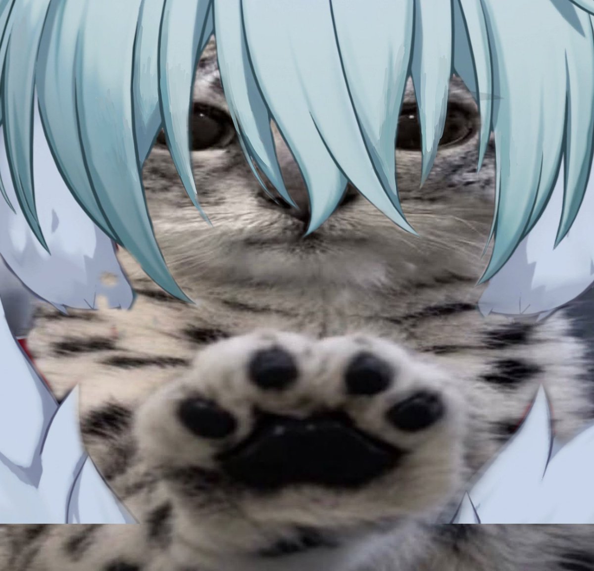 mityaslime's tweet photo. *paws at you*  Tugarin, let's go!
*paws at you*  Tugarin, let's go!
*paws at you*  Tugarin, let's go!
*paws at you*  Tugarin, let's go!
*paws at you*  Tugarin, let's go!
*paws at you*  Tugarin, let's go!
*paws at you*  Tugarin, let's go!
*paws at you*  Tugarin, let's go! https://t.co/W998XOmAdf