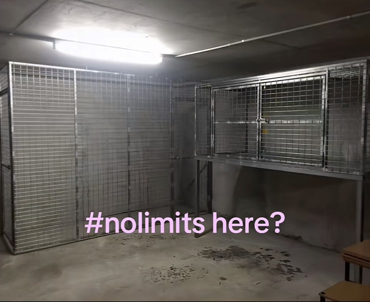 lonelypeachpie's tweet photo. will u pls take me here n do notty thing w me dad…. https://t.co/WzQLuXYOCi