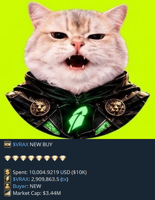 VoidBids's tweet photo. meow. or does Vrax Rawr... https://t.co/5aTj5Thn2R