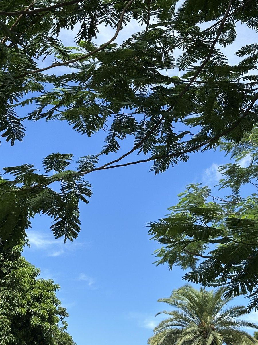 a_chin0918's tweet photo. 屯杏渤咨の新たな可能性を感じる今日この頃！日常のひとコマにそっと寄り添ってくれる存在です https://t.co/ZtxCWfPrwc