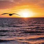 Photo by LORENA🕊️Dichiar.Universale Diritti Umani⁉️ (@Lorena100114)